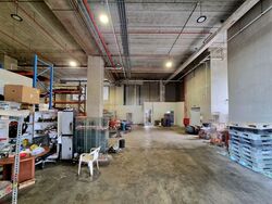 International Road (D22), Factory #458792941